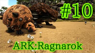 【ARK Ragnarok】素材集めのプロ、モロクトカゲとドエディクルスをテイム！【Part10】【実況】