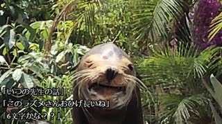 【2018/6/28】ラズメのそれがラジオ#1【ラジオアーカイブ】