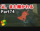 【実況】今年で定年を迎える父をハイラルの大地に放り込むPart74【ゼルダの伝説BotW】