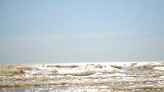 Little Girl Sitting On The Sand By The Sea　代沢インターナショナルスクール
