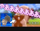 ホシガリスが進化し絶叫するみるく ポケットモンスターシールド ニコニコ動画