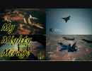 Ace Combat 7 Multiplayer589 チームデスマッチ Mirage 2000-5