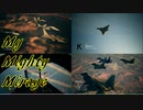 Ace Combat 7 Multiplayer590 チームデスマッチ Mirage 2000-5