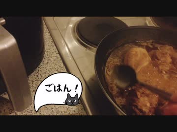 【ねことドイチ】日本人の好きな味！フィリピンのアドボ！