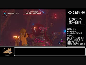 【解説】ブレスオブザワイルドAny% 27:29 part2