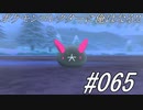 ポケモンコレクターに俺はなる‼#065