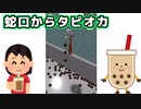 タピオカ県の蛇口からはタピオカ出るってホント！？