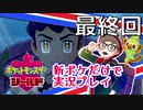 【新ポケ縛り】ポケットモンスターソード・シールド実況プレイ#最終回【ポケモン剣盾】