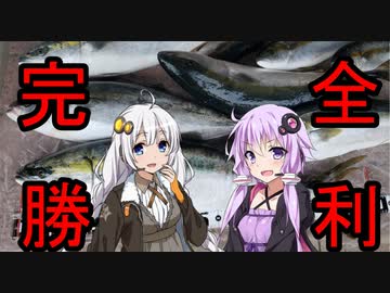 ゆかりとあかりの山陰釣行記　その７　「神鰤」【VOICEROIDフィッシング】