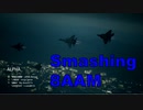 Ace Combat 7 Multiplayer593 チームデスマッチ F-22A + 8AAM