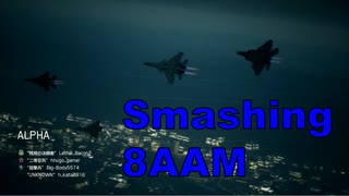 Ace Combat 7 Multiplayer593 チームデスマッチ F-22A + 8AAM