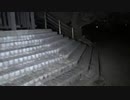 【心霊】田川幹太の1人怪奇大作戦【ガチ】 大群の浮遊霊が蠢く？！こんな心霊スポットがあったのか？！彼等は何故そこにいるのか？R-2