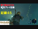 【寄り道ばかりの】ゼルダの伝説BotW【実況プレイ記録45】地図って大事