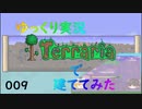 Terrariaで建ててみた009　【ゆっくり実況】 　新ワールド　マップ埋め