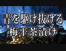 青を駆け抜ける - 梅干茶漬け