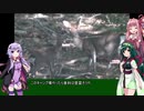 初心者ゆかりのキャンプしようか 第7回 後編