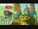 【実況】ウルリンといっしょ＃34｢思い出はいつもキレイだけど｣【BotW】