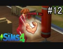 【実況】ぼくとゆかいな仲間の楽しい生活【SIMS4】part12