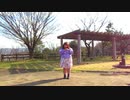 【個性の主張】ハイドアンド・シーク　【で動いてみた】