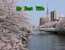 T.ルビー  -  My Best Wife