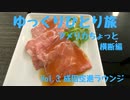 【ゆっくり】ひとり旅『アメリカちょっと横断編』 Vol.3
