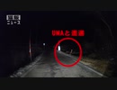衝撃の映像