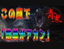 【モンハン/mhwib】２人実況プレイpart5｜ 圧倒的獄狼竜ジンオウガ亜種完全討伐物語（モンスターハンターワールドアイスボーン）