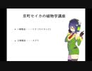 ［ボイロ実況］京町セイカのウィッチャー３　第2話　真の敵はやはりあいつだった！？