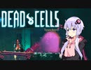 【VOICEROID実況】 Dead Cells カジュアルにプレイ （5セル赤ビルド 2/3）