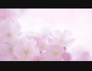 カタオモイ  / Starfall 歌ってみた