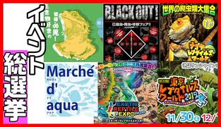 【２０２０年はここに行け！】爬虫類イベントのランキングを付けてみたら凄かった【２０２０年イベントできるの？】