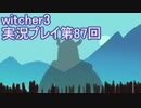 探し人を求めてwitcher3実況プレイ第87回