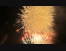 【2020年1月18日㈯】河口湖 冬花火
