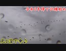 C-130、C-1、C-2から迫力満点の空挺降下! 令和2年降下訓練始め