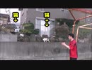 闇営業芸人のまねで猫に話しかけてみたらどうなる？？