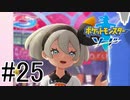 【実況】ポケモンソードを初剣プレイ #２５