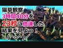【猫草観察タイムラプス】3時間40分を23秒に倍速した結果を見るがよいっ！( ´ ▽ ` )ﾉ