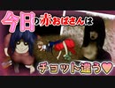 【らせんの宿#08】いろんな赤おばさんに〆られる