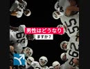 アンドロペニス・ゴールド・コンフォート