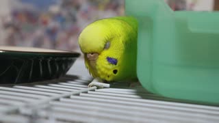 眠そうですね。