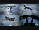 Ace Combat 7 Multiplayer594 バトルロイヤル F-14D + 8AAM