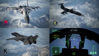 Ace Combat 7 Multiplayer594 バトルロイヤル F-14D + 8AAM