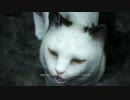 【仁王】箱いっぱいのアムリタをお届け　その拾伍【初見実況】