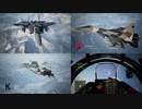 Ace Combat 7 Multiplayer595 バトルロイヤル Su-30SM + 6AAM