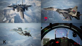 Ace Combat 7 Multiplayer595 バトルロイヤル Su-30SM + 6AAM