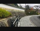 ＜周南の寺社 巡り＞　周南市鹿野「清流通り」１　龍雲禅寺と弾正糸桜〜巨木の社叢二所山田神社（旧郷社）