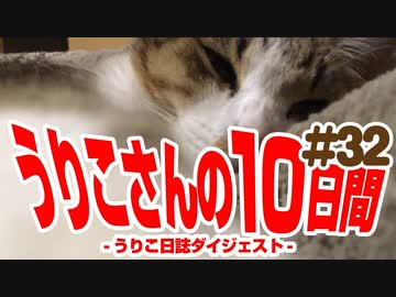 うりこさんの10日間 - 2019-2020
