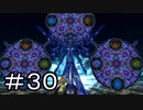 【一年振り】ファイナルファンタジーⅩ　part.30