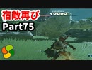 【実況】今年で定年を迎える父をハイラルの大地に放り込むPart75【ゼルダの伝説BotW】