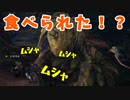 【MHW】ゲーム下手のモンハン日記2日目【関西弁女性実況】